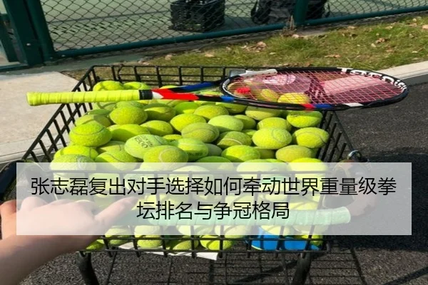 张志磊复出对手选择如何牵动世界重量级拳坛排名与争冠格局